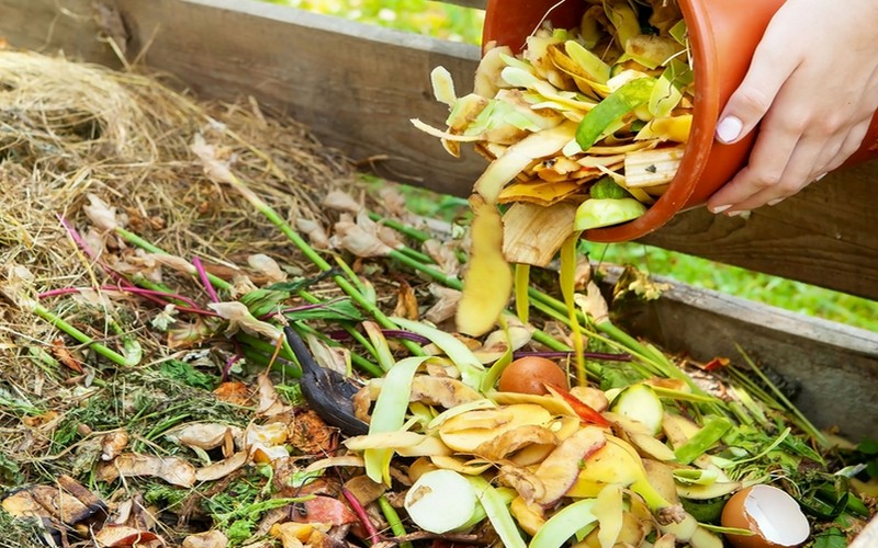 Biodéchets de cuisine