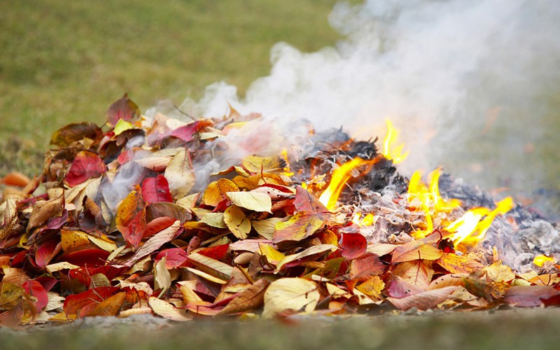 Petit feu dans son jardin...